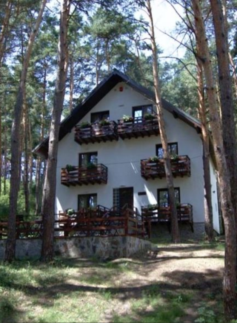 TABĂRĂ DE PICTURĂ