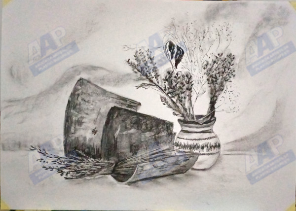 Andronache Mihaela