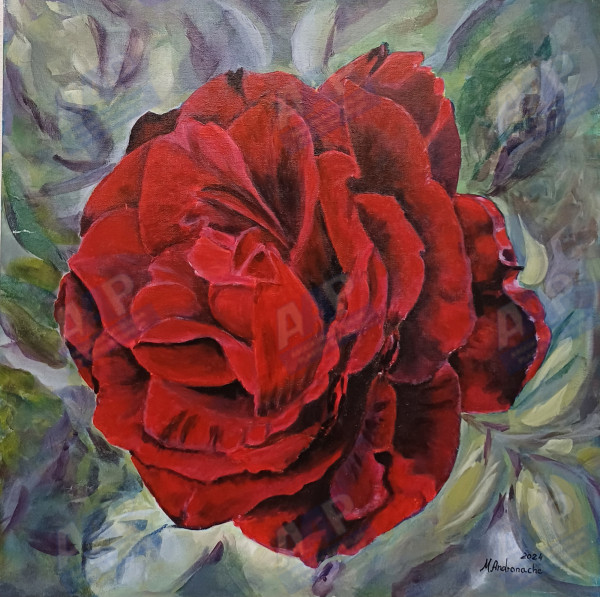 Andronache Mihaela
