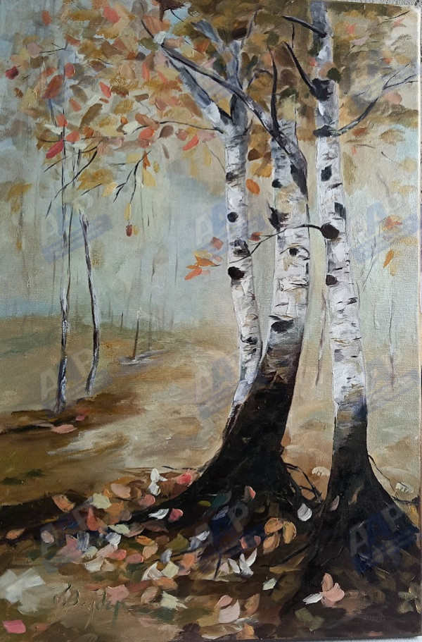 Bogdan Valerica Luminis in padure
