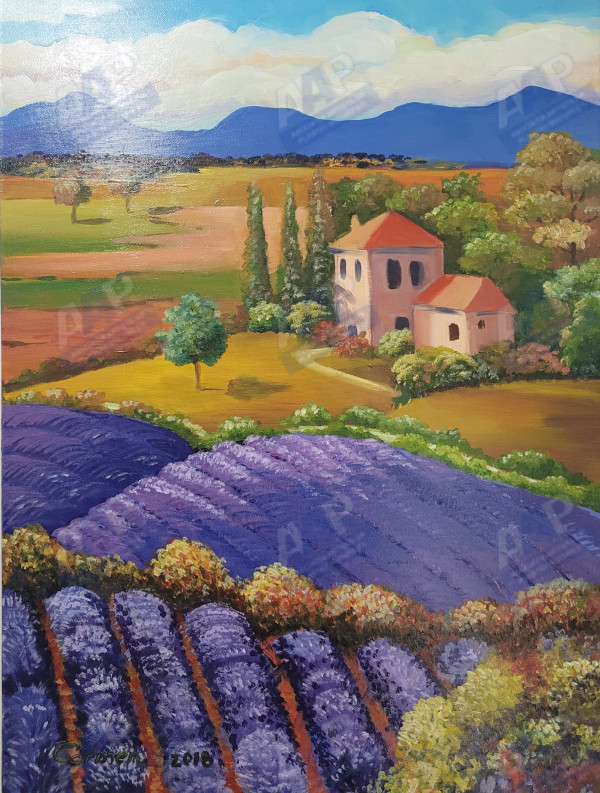 Nițu Carmen 
