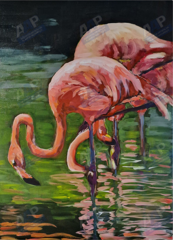 Bădoi Cornelia Flamingo