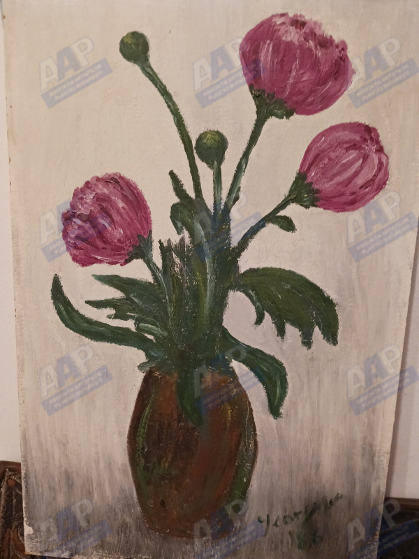 Rusitoru Mirela Tinerețe